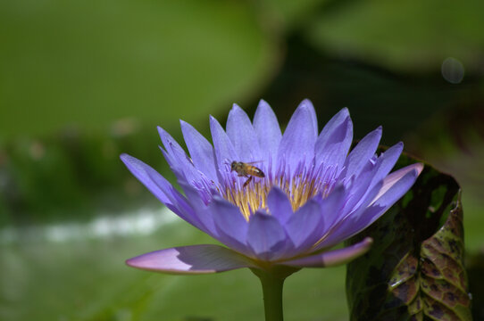 探索欧陆娱乐官方入口app下载：开启纯净的线上赌场世界